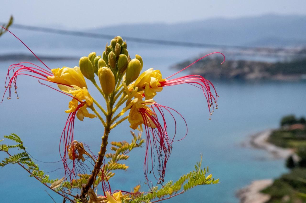 Miracle View Villas Agios Nikolaos  Exterior photo